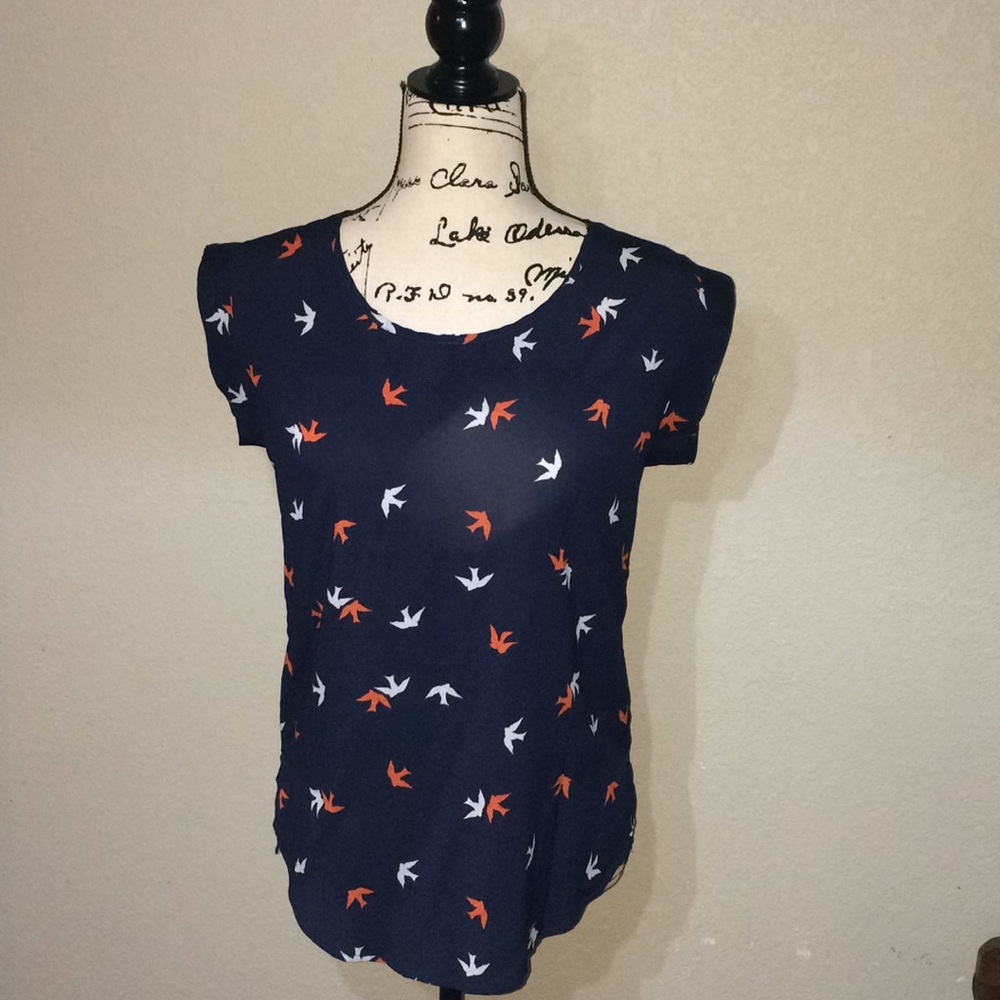 Daniel Rainn Dove Top